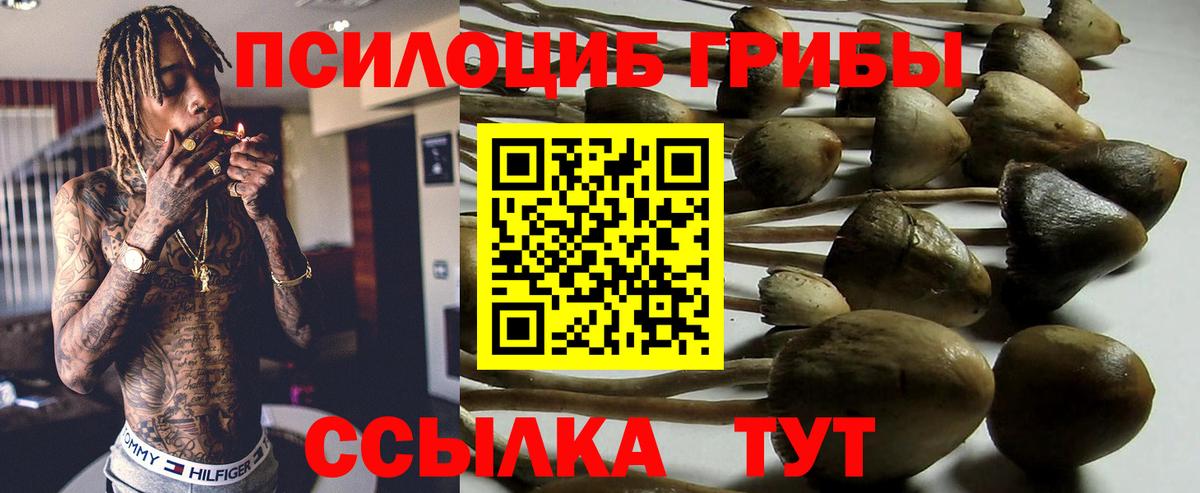 Аксай  Галлюциногенные грибы Magic Shrooms  Вход с VPN 
